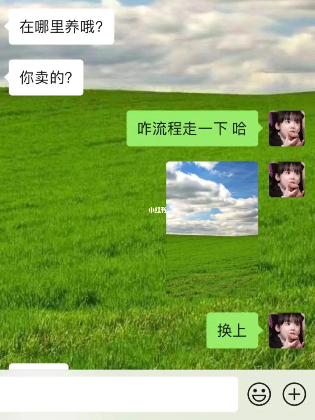 一起养鸡微信聊天记录的简单介绍