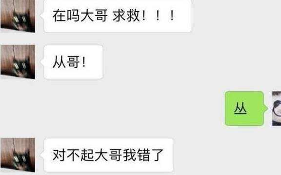 聊天记录搞笑对话父子的简单介绍
