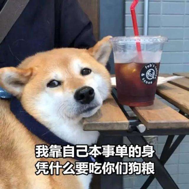 搞笑聊天记录朋友圈文案(和朋友聊天记录发朋友圈文案)
