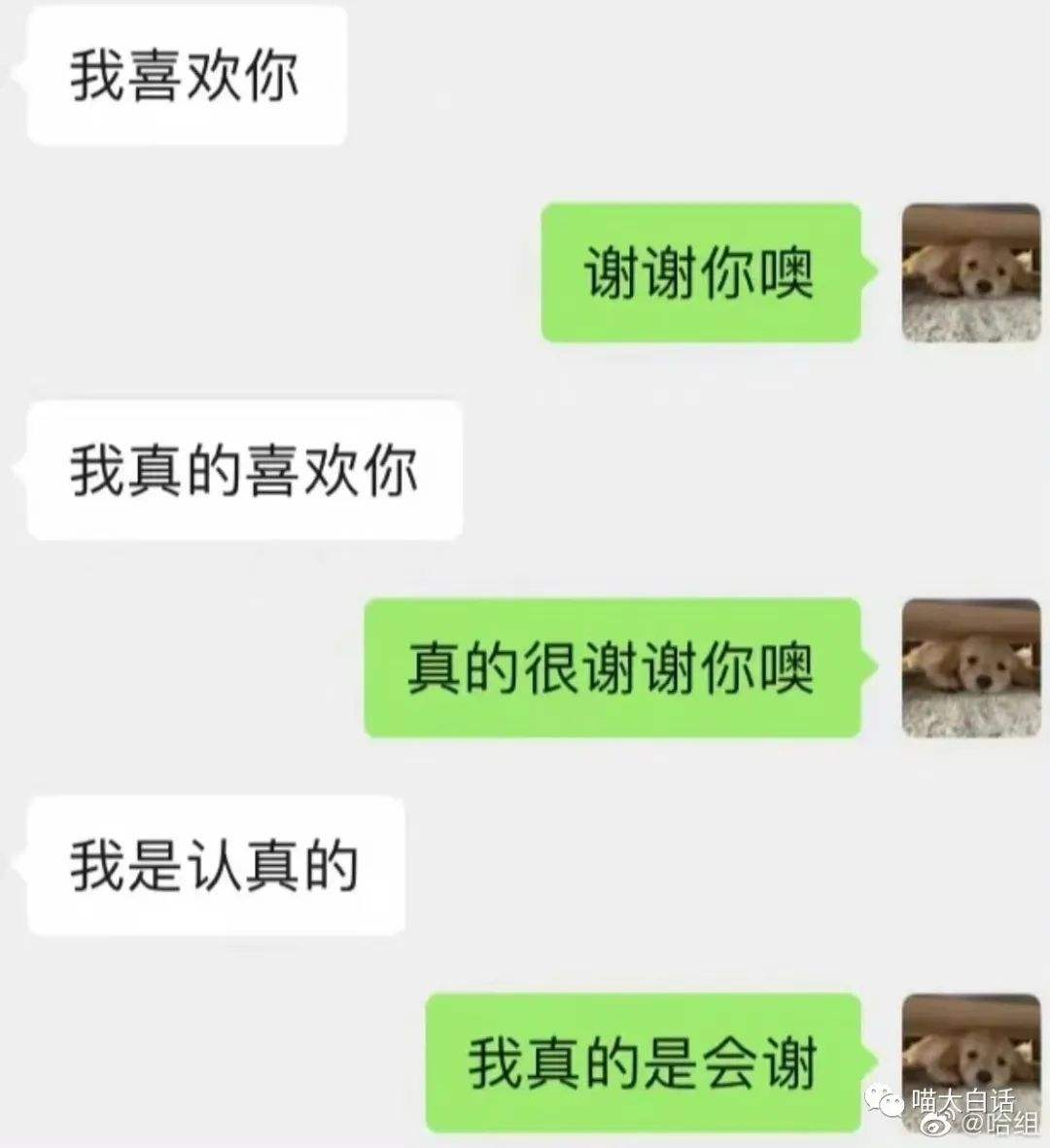 05后对象聊天记录(05后聊天记录看不懂系列)
