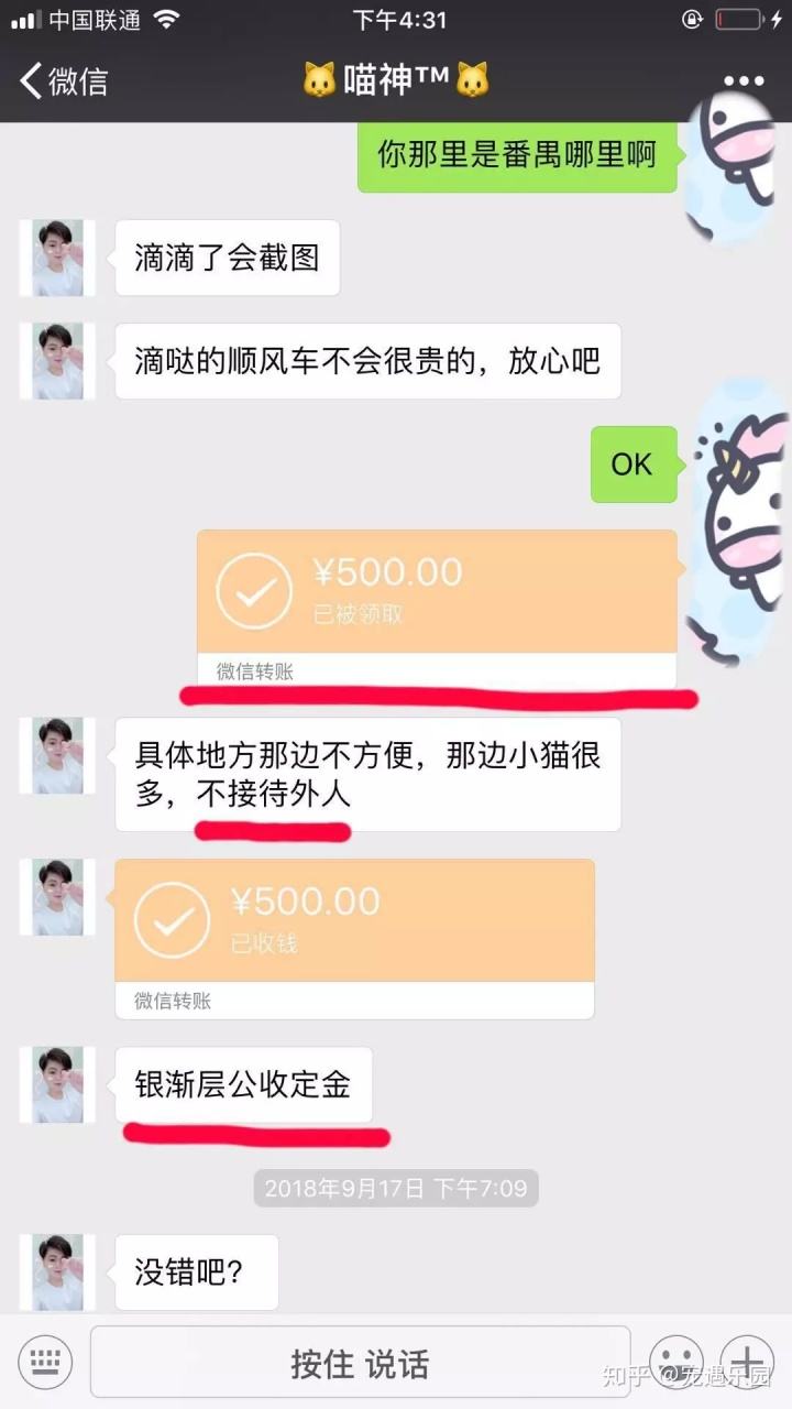 猫九聊天记录(一万八猫九聊天记录)
