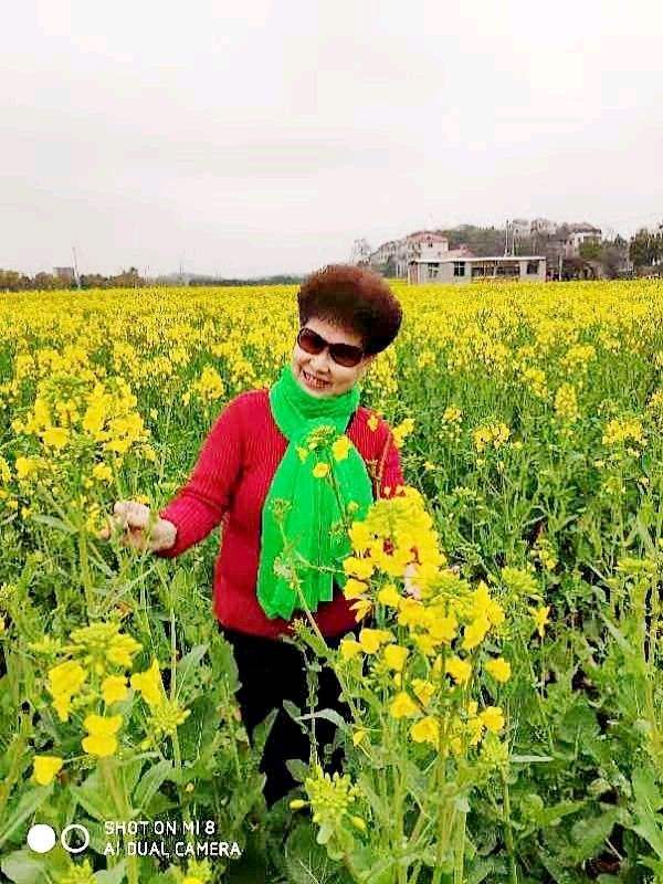 一定要幸福一家人聊天记录(幸福一家人微信聊天记录在线)