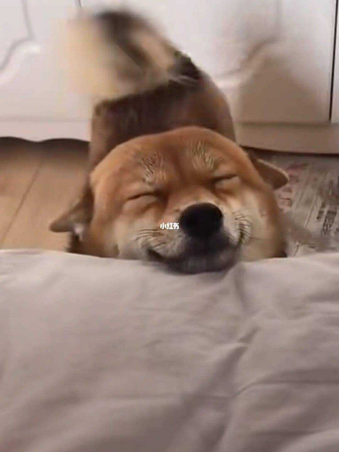 我发誓再也不熬夜聊天记录(我发誓明天一定不熬夜,如果再熬夜我就再发誓 该怎么接)