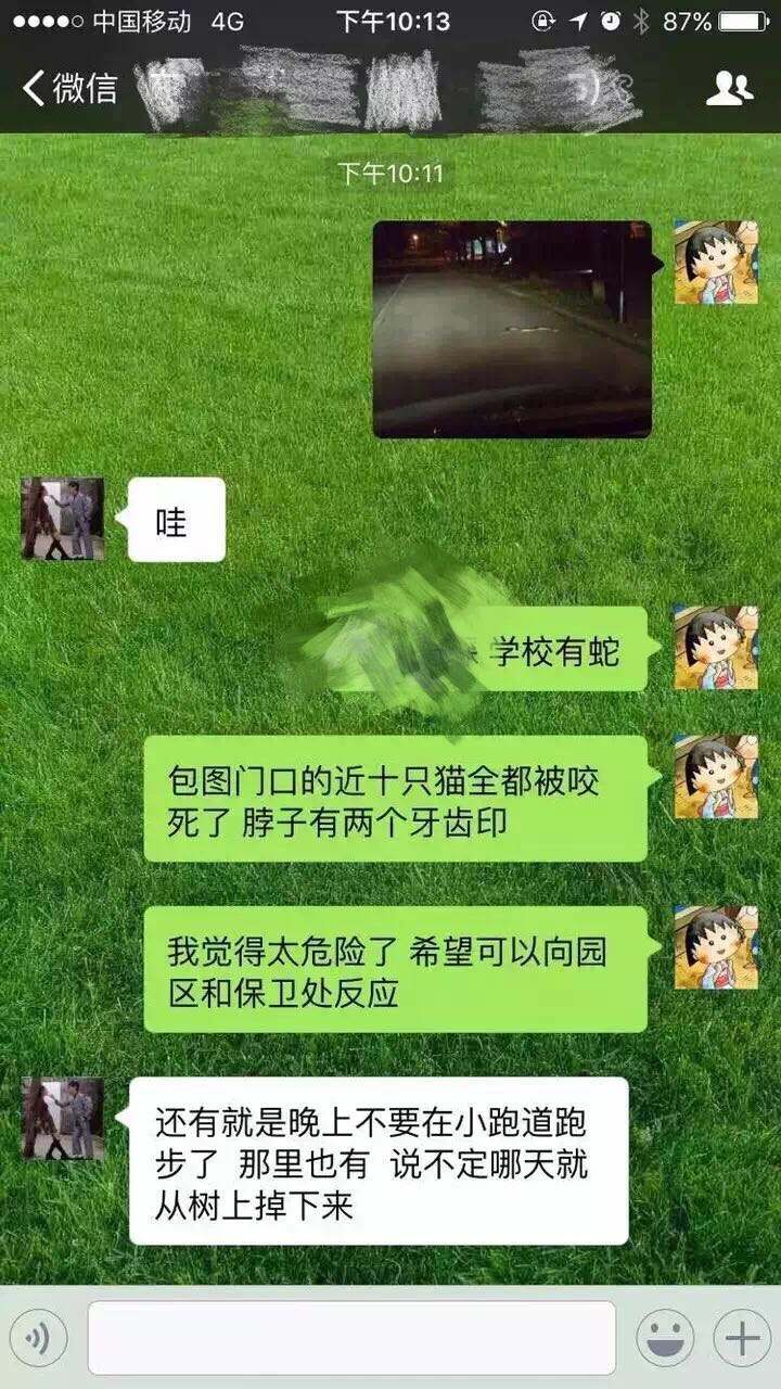 聊天记录校园网(聊天记录校园网能看到吗)