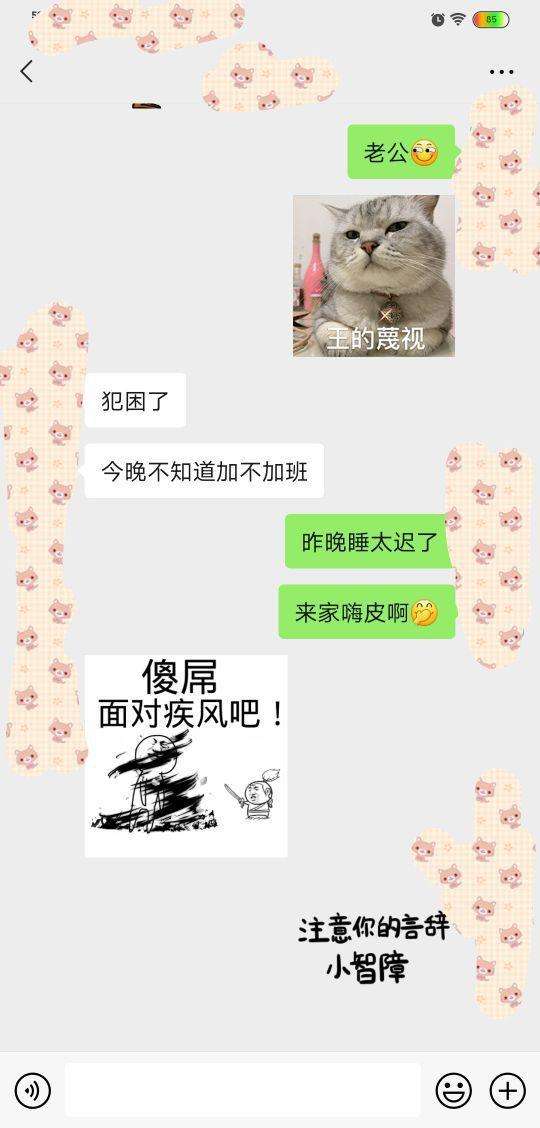包含女女蝴蝶结聊天记录的词条