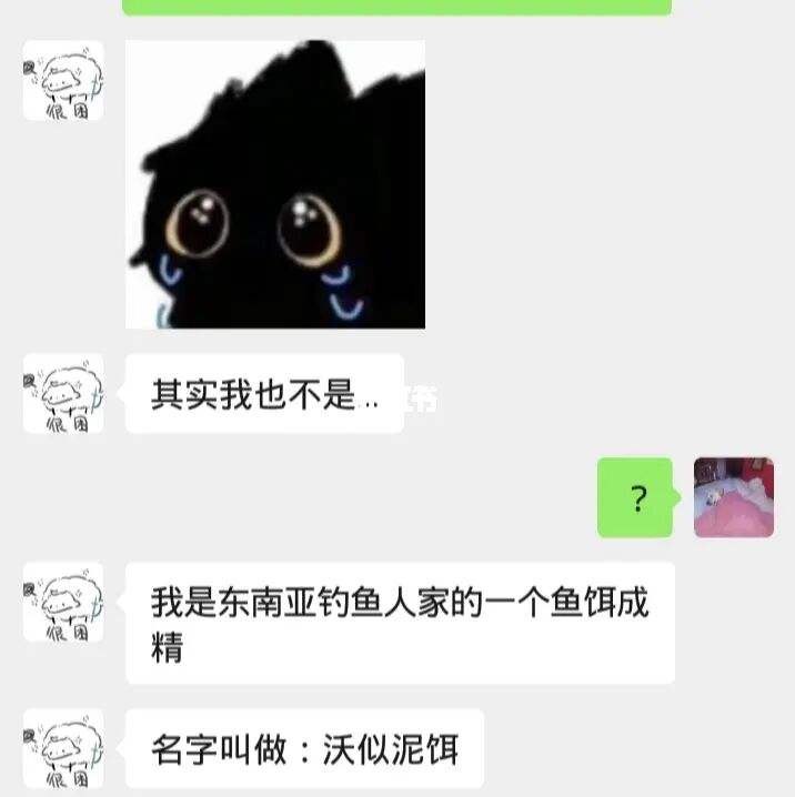 关于安徽蚌埠聊天记录的信息