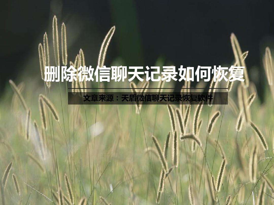 每天都删除聊天记录的人(常删聊天记录的人是怎样的人)