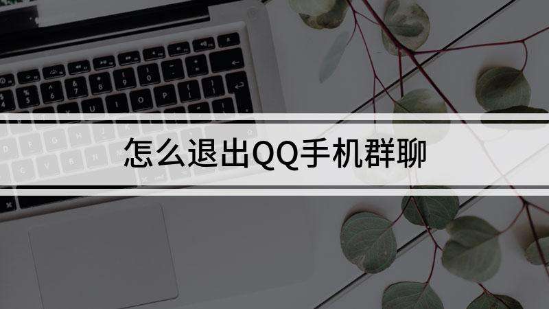 QQ退群后查找聊天记录(退群了还能找到聊天记录吗)