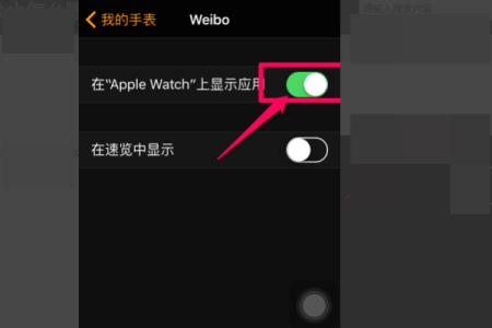 苹果手表微信聊天记录怎么查(applewatch查看微信聊天记录)