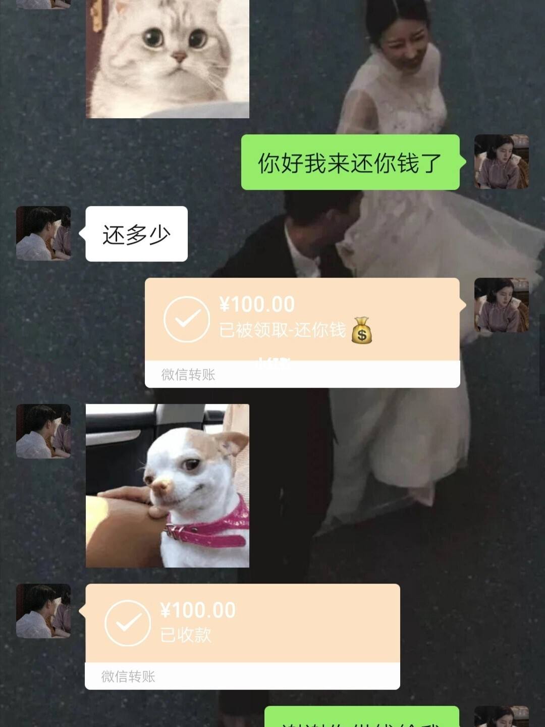 坑男朋友的套路聊天记录(聊天套路大全坑男生这么多年来)