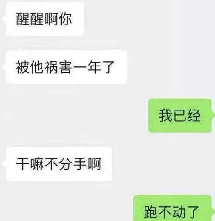 关于pua完整版聊天记录的信息
