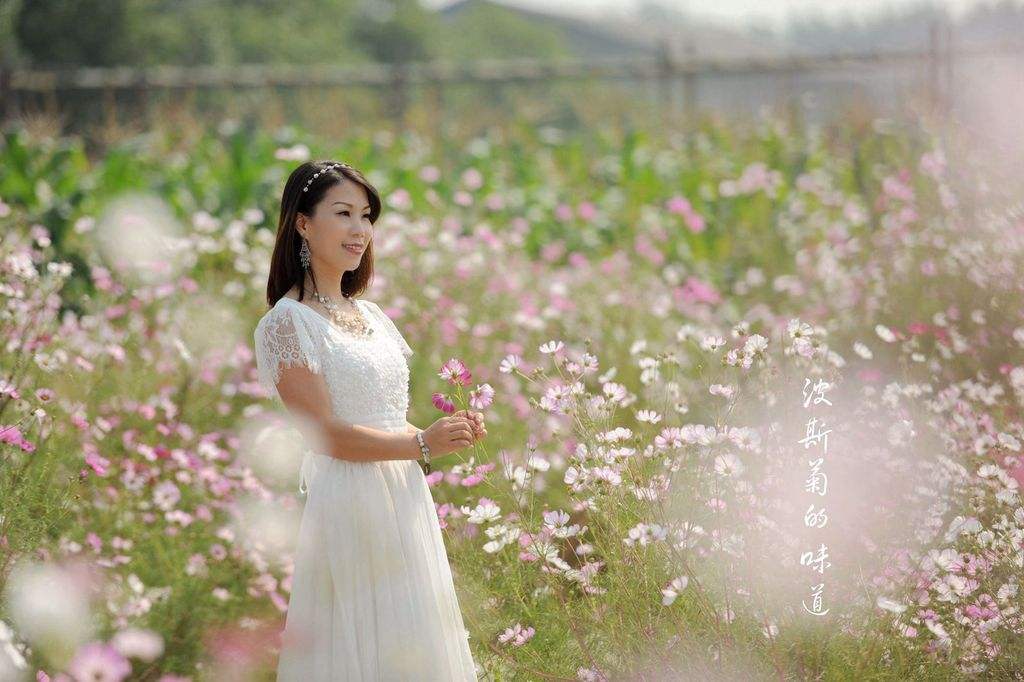 关于查找快乐人生聊天记录的信息