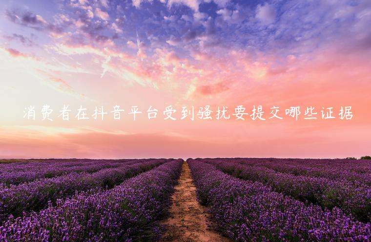 飞鸽聊天记录在哪(飞鸽记录放在哪个文件夹)