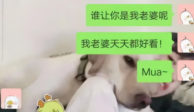 直男撞上直女的聊天记录(直男vs直女聊天记录曝光)