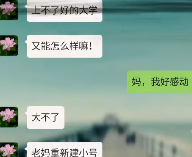 父爱聊天记录(与父亲的聊天记录)
