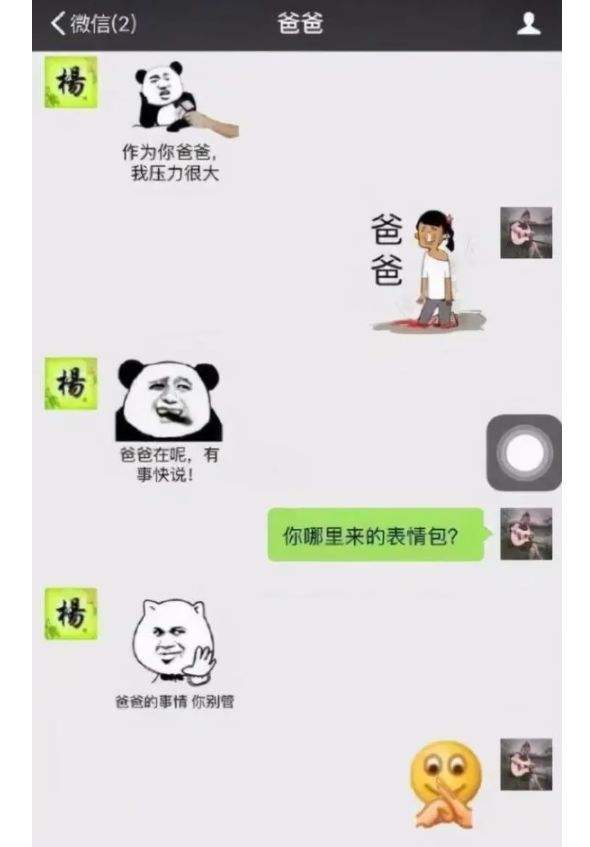 父爱聊天记录(与父亲的聊天记录)