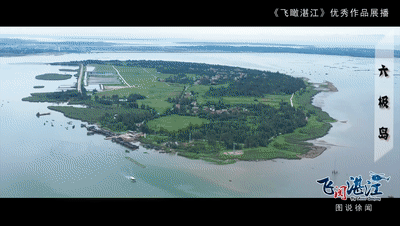 徐闻聊天记录大全(鄂州瓜聊天记录大全)