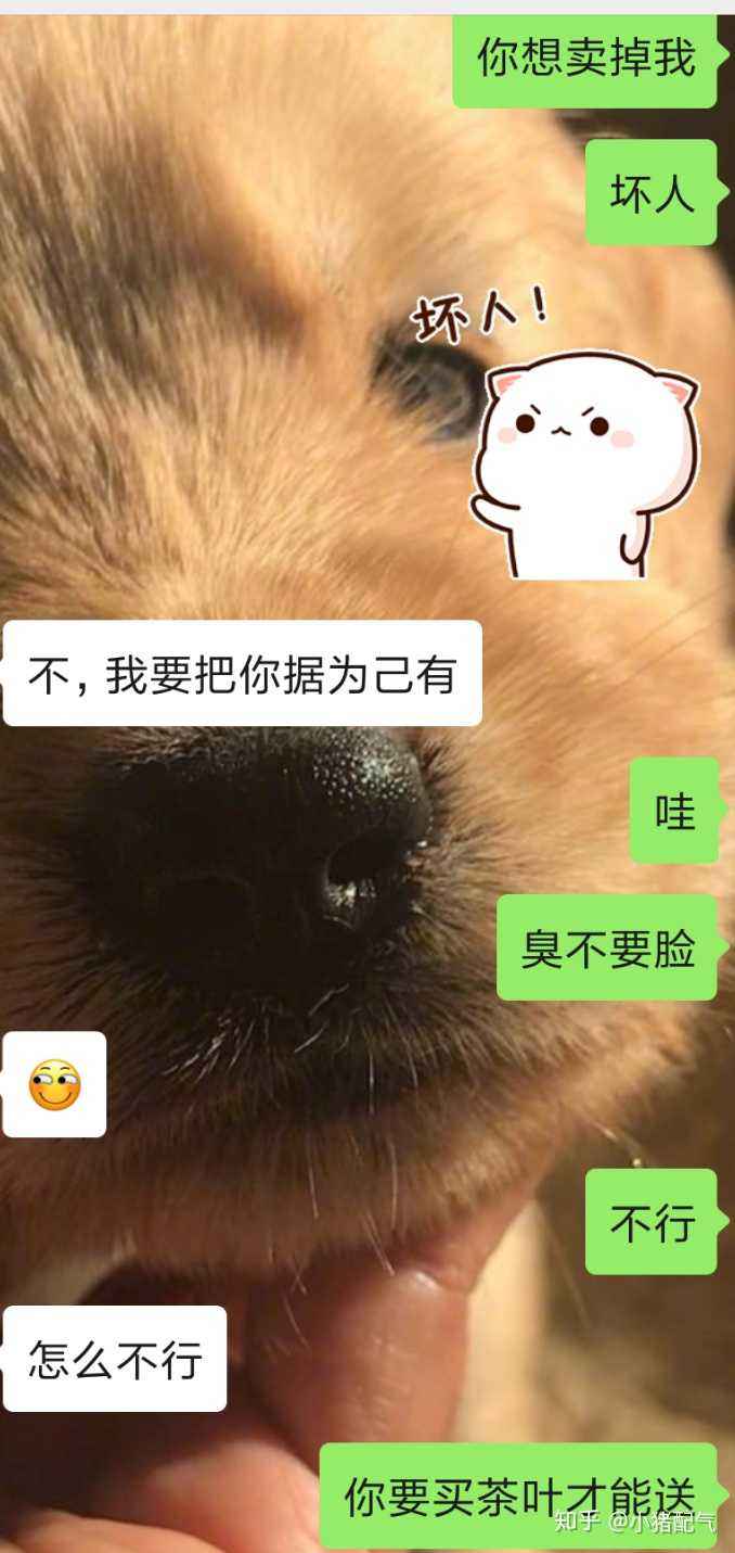 你是个好人聊天记录(聊天怎么证明自己是个好人)