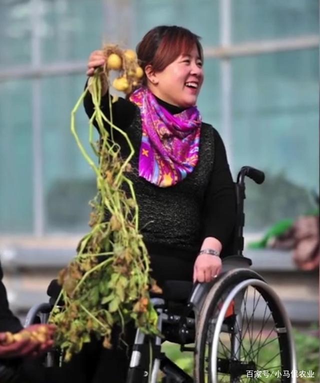 土豆姐对男生撒娇的聊天记录的简单介绍