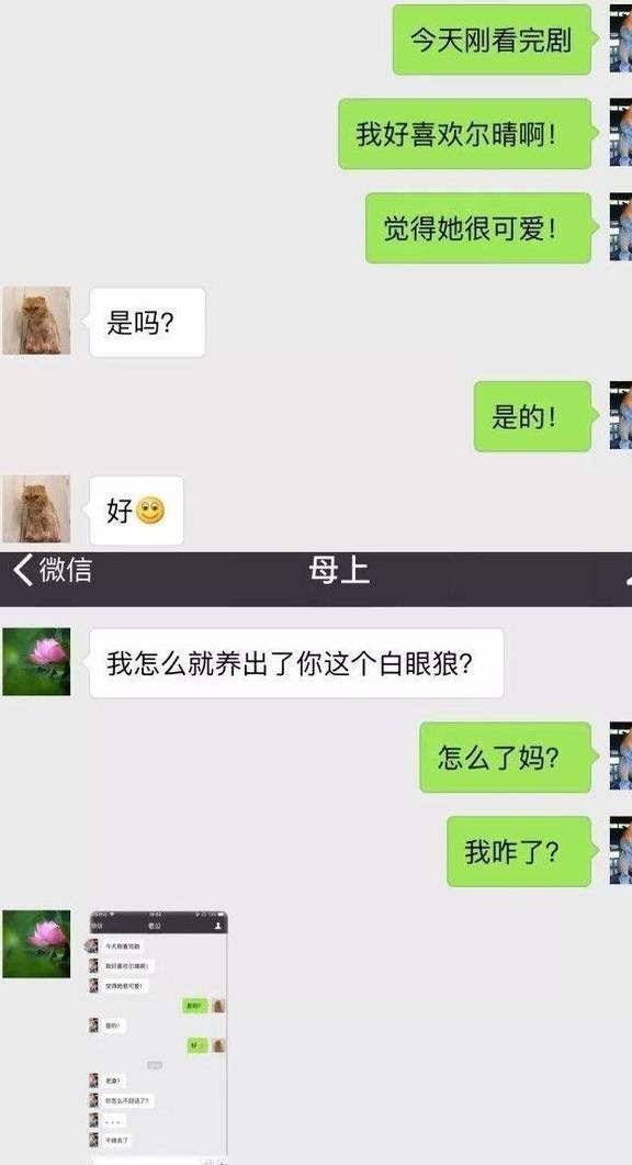 包含我妈让我煮饭时聊天记录的词条