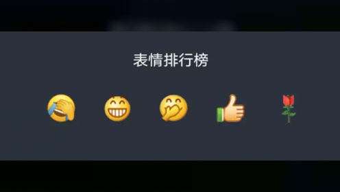 每帧都是表情包聊天记录的简单介绍