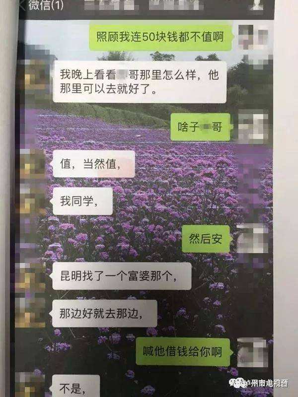 关于四川拜金女聊天记录的信息