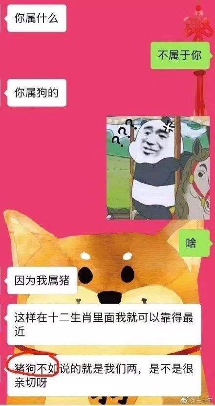 包含你骂我我亲你聊天记录的词条