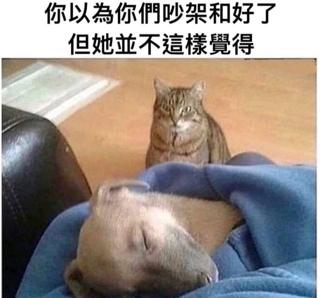 和好朋友吵架聊天记录(和朋友吵完架和好怎么聊)