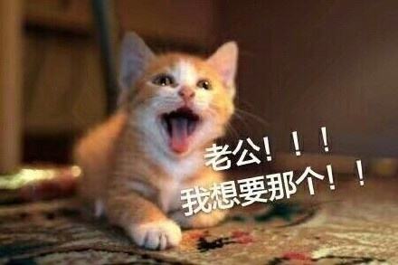 微信老公表情包聊天记录的简单介绍