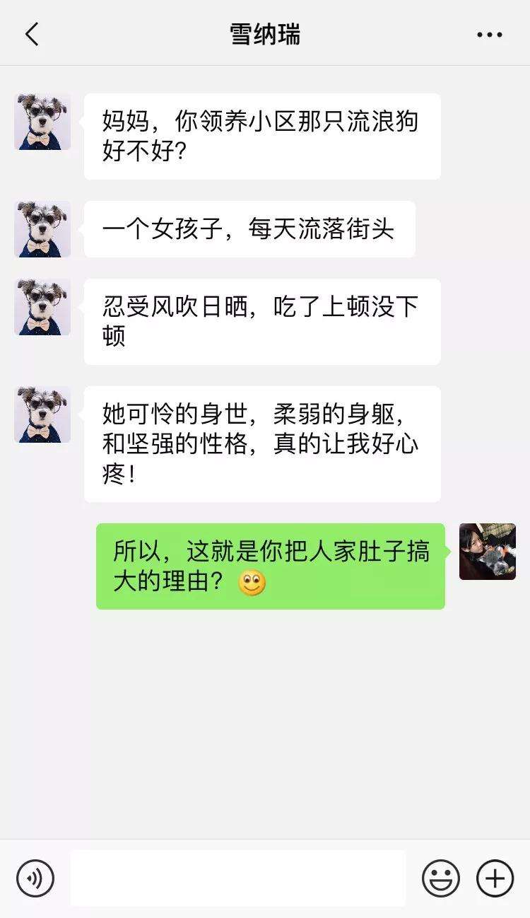 关于女女蝴蝶结聊天记录的信息