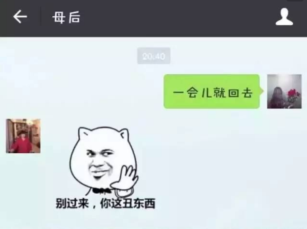 怎么看表情包聊天记录(微信怎么看聊天记录表情包)