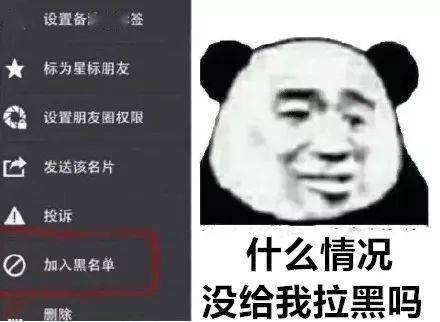 怎么看表情包聊天记录(微信怎么看聊天记录表情包)