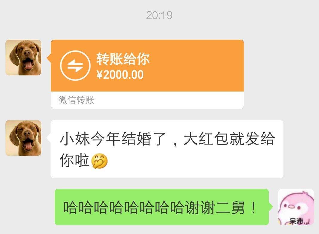 玩具熊的群聊天记录的简单介绍