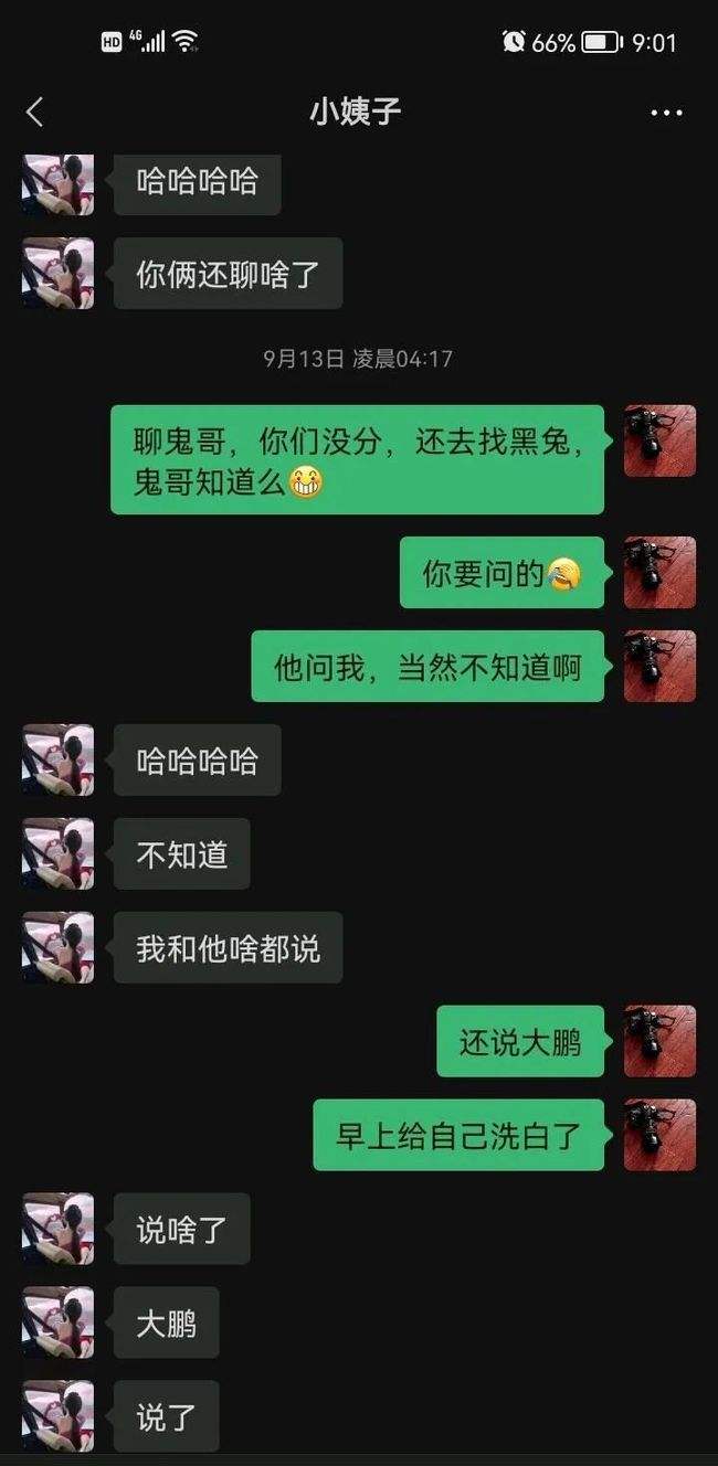 包含吃瓜网站聊天记录视频的词条