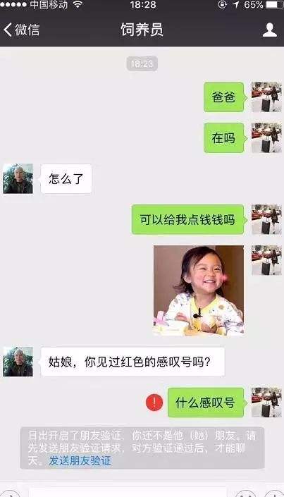 搞笑的父亲聊天记录的简单介绍