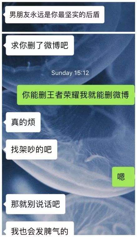 也许这就是爱情聊天记录情侣的简单介绍