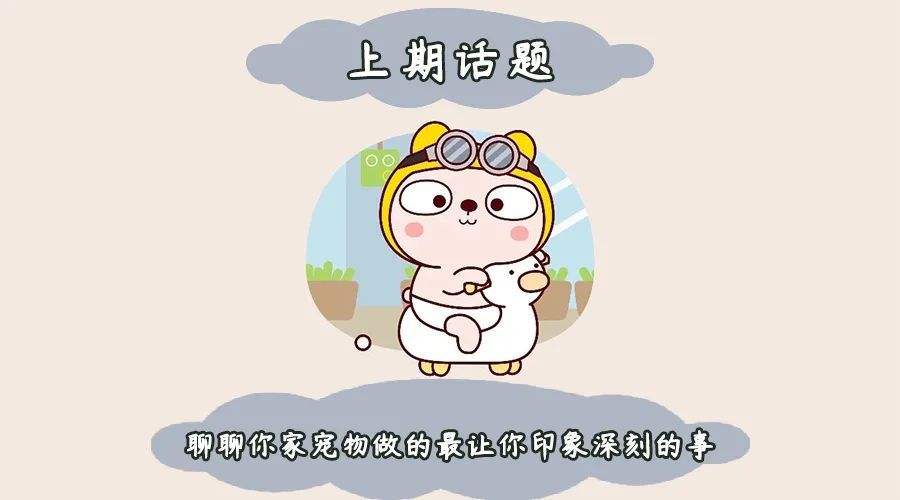 关于毛孩子的聊天记录的信息