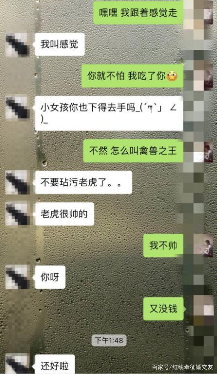 可以看女朋友的微信聊天记录(怎么能看到女友的微信聊天记录)