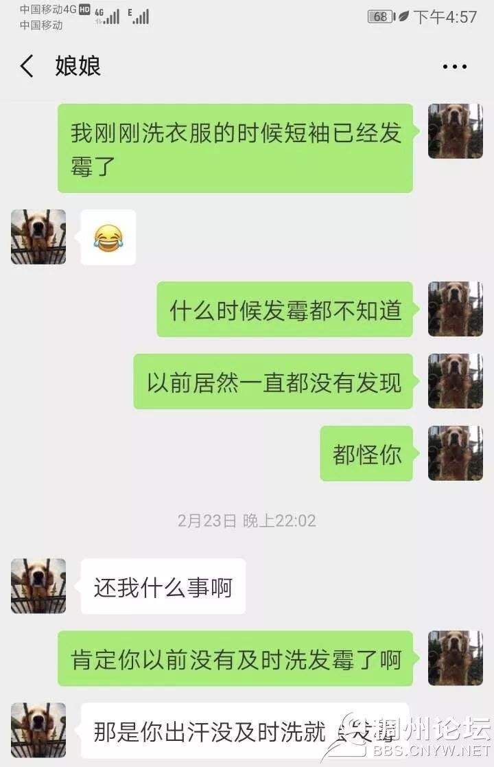 夫妻俩的聊天记录可以复制吗(微信怎么复制两个人的聊天记录)