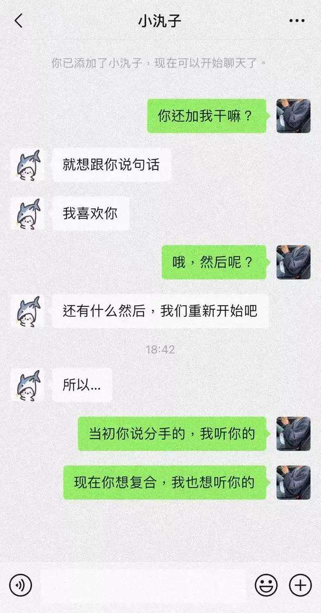 十几岁的感情聊天记录(十几岁的感情是什么样的)