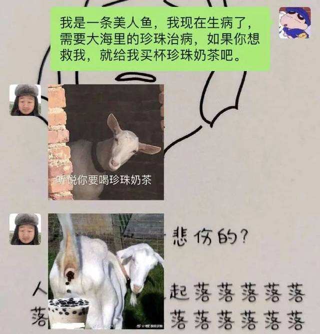 沙雕仙女聊天记录(沙雕神回复聊天记录)