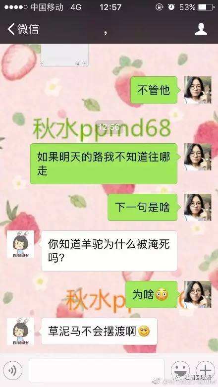 秋天第一口冰淇淋聊天记录的简单介绍