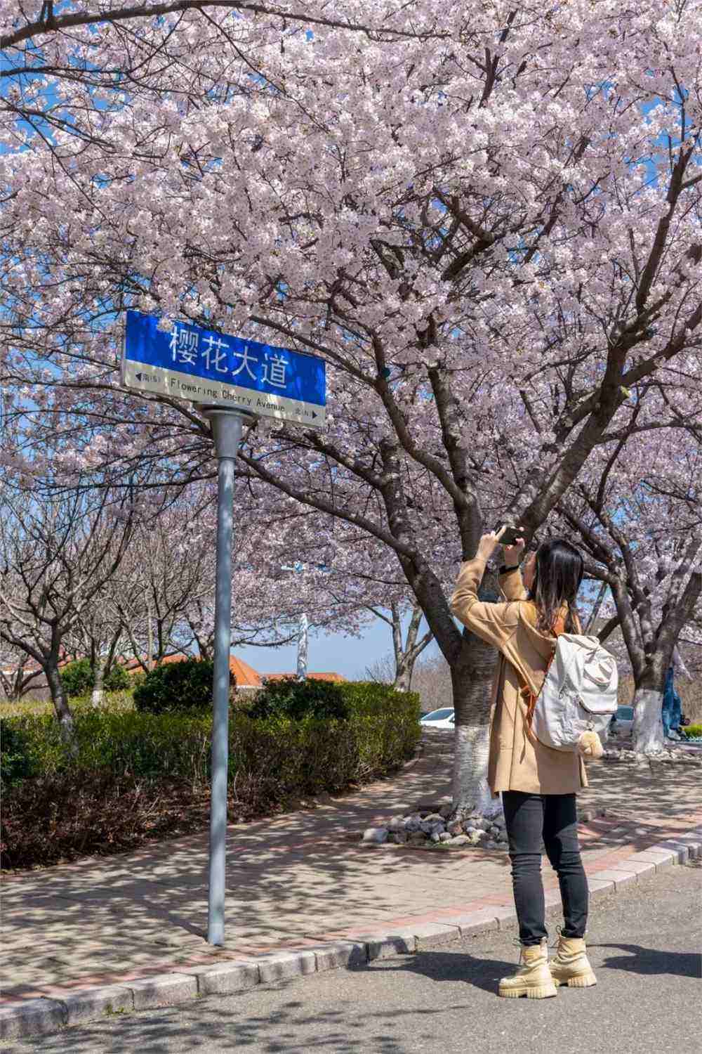 海洋大学聊天记录(广东海洋大学聊天记录)