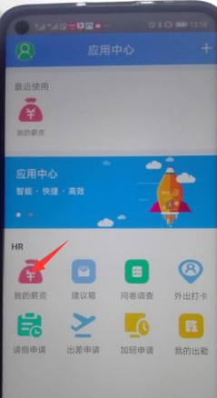 怎么查看飞鸽聊天记录(飞鸽天下查鸽子飞行成绩)