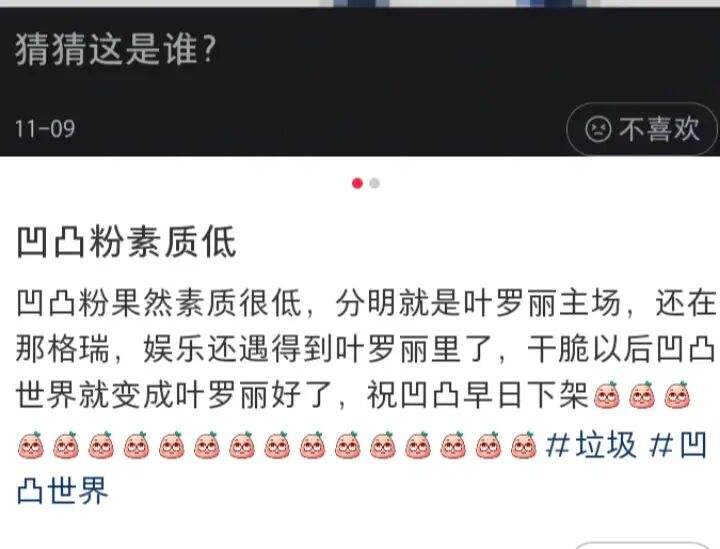关于叶罗丽和凹凸粉聊天记录的信息