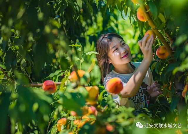 迁安聊天记录修复(迁移聊天记录查找失败)