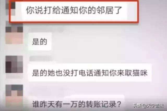 聊天记录单独一个词可以当证据吗的简单介绍