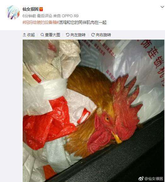 车企聊天记录(车老板聊天记录)