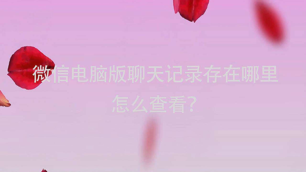 qq聊天记录视频播放(视频聊天的记录怎么查)