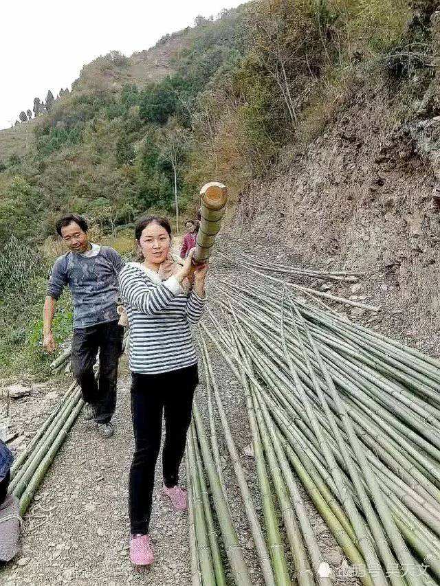 村官和女下属聊天记录的简单介绍
